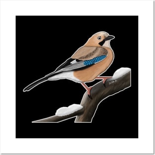 Jay Bird Watching Birding Ornithologist Gift Posters and Art